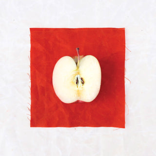 12 oz Persimmon Waxed Canvas - WAX - CAN - PER - Waxed Canvas - Klum House