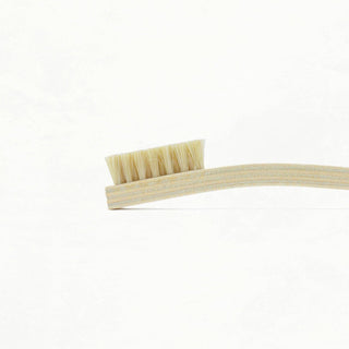 Tampico Cleaning Brush - OTT - TAMPICO - Tools + Supplies - Klum House